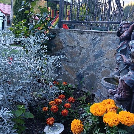 La Cascade 2 Ξενοδοχείο Moeciu De Sus Εξωτερικό φωτογραφία
