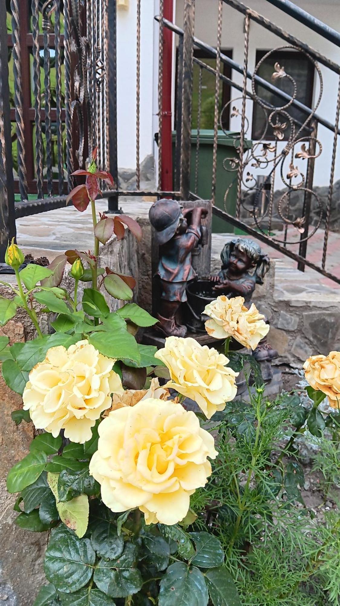 La Cascade 2 Ξενοδοχείο Moeciu De Sus Εξωτερικό φωτογραφία