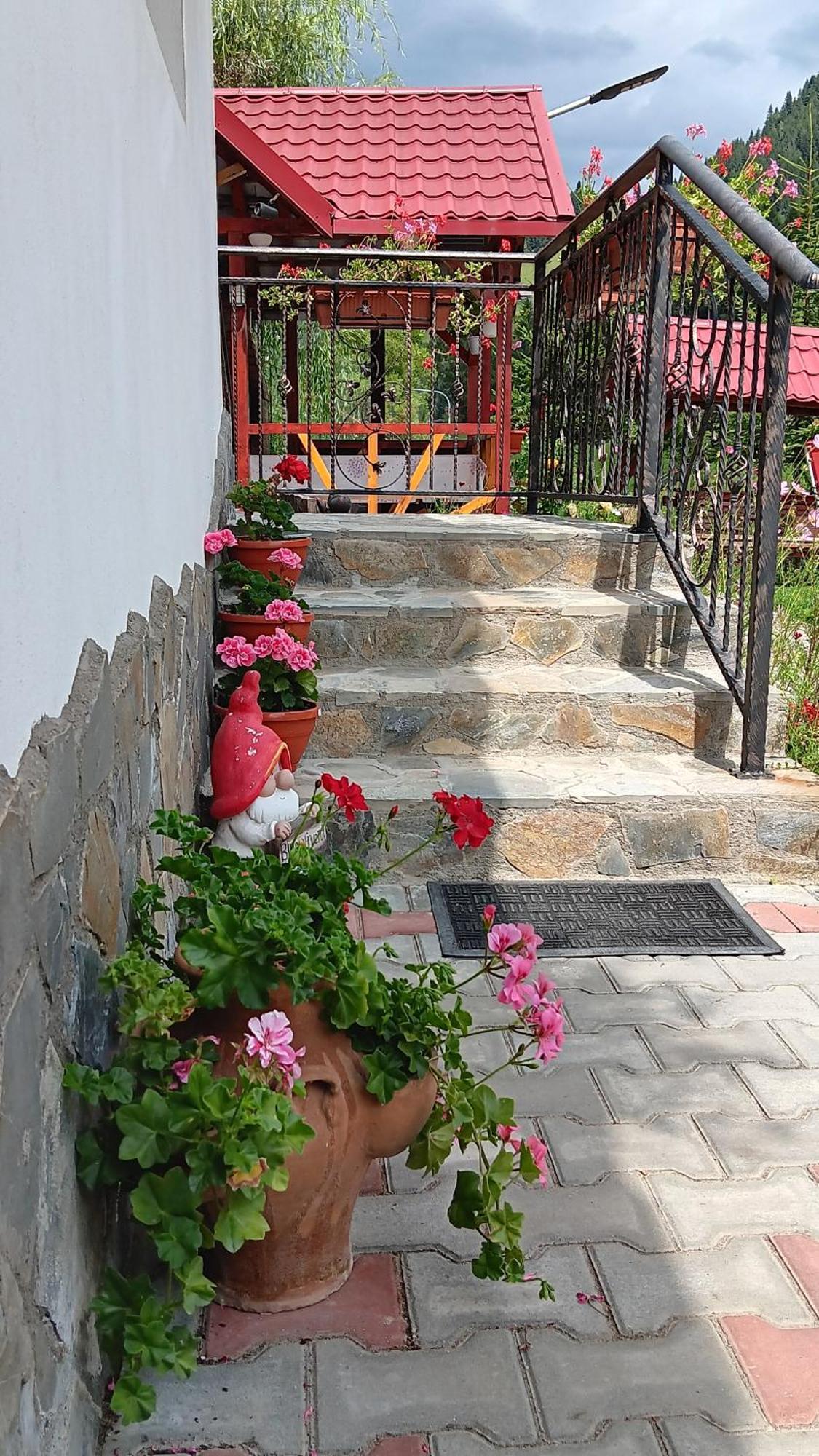 La Cascade 2 Ξενοδοχείο Moeciu De Sus Εξωτερικό φωτογραφία